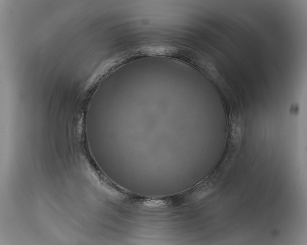 X0000115450357200911181552