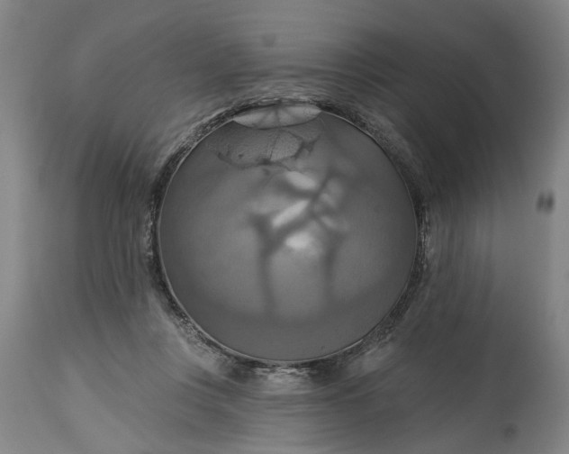 X0000115450359200911181552