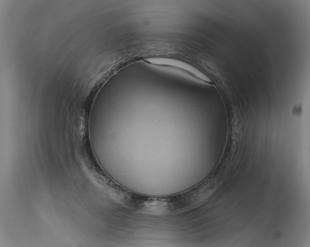 X0000115450362200911181552