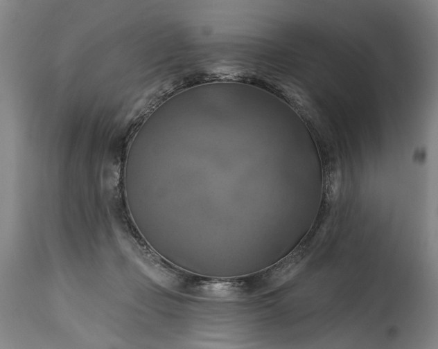 X0000115450365200911181552