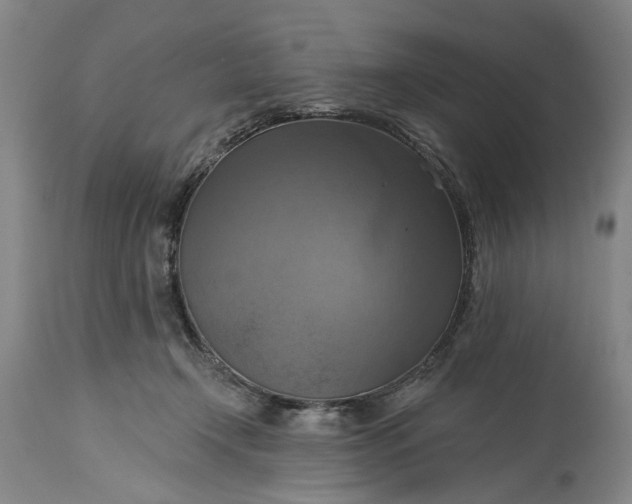 X0000115450366200911181552