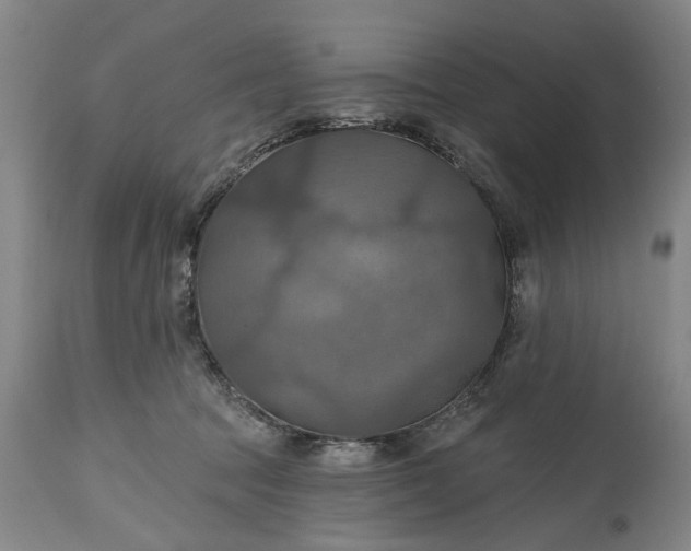 X0000115450369200911181552