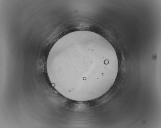 X0000115450370200911181552