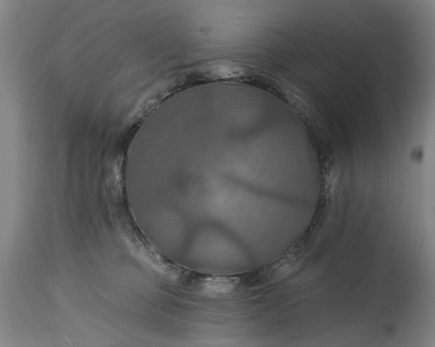 X0000115450373200911181553