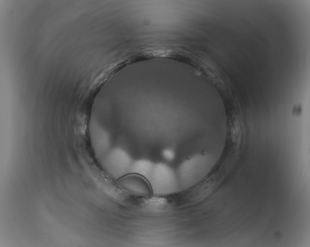 X0000115450374200911181553