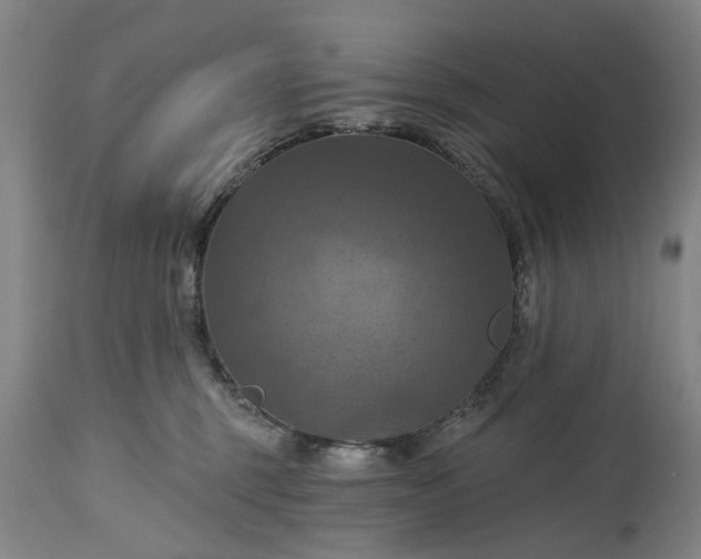 X0000115450375200911181553