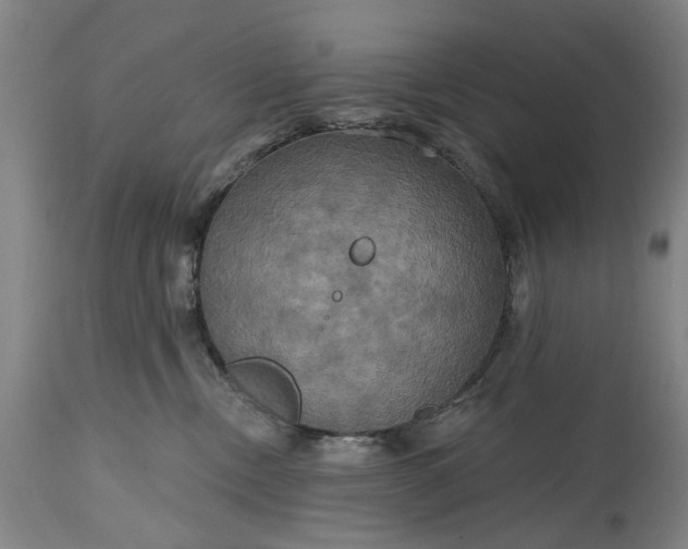 X0000115450378200911181553