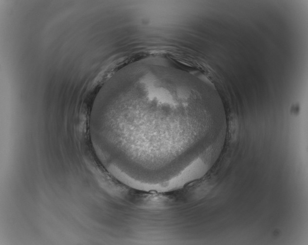 X0000115450379200911181553