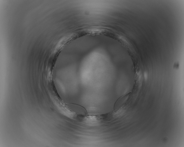 X0000115450381200911181553