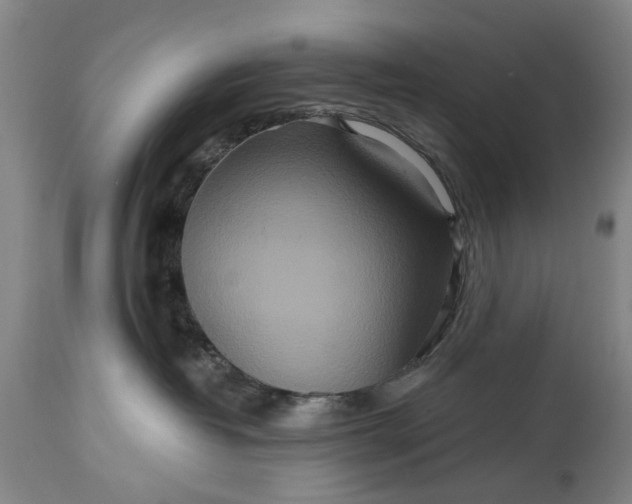 X0000115450382200911181553