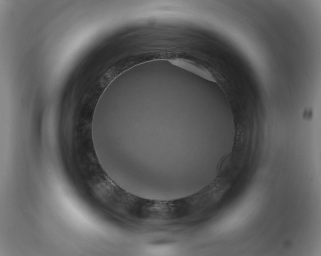 X0000115450383200911181553