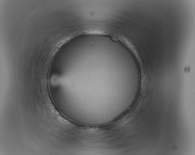 X0000115450385200911181552