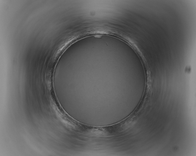 X0000115450386200911181552