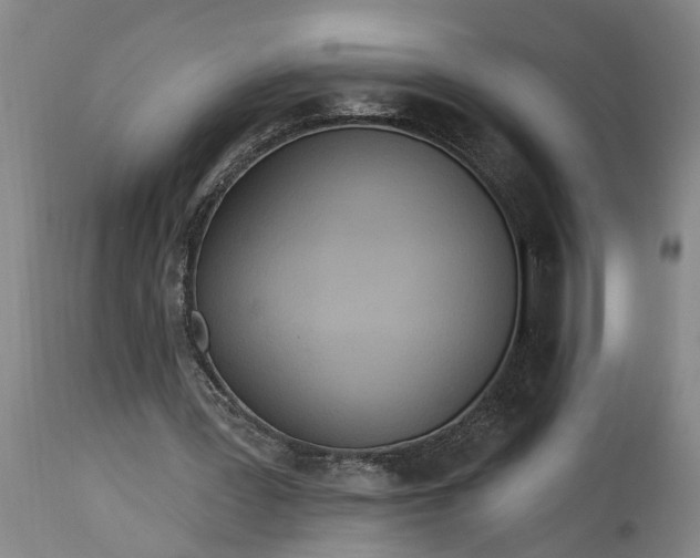 X0000115450387200911181552