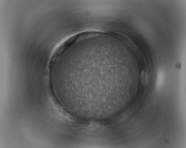 X0000115450388200911181552