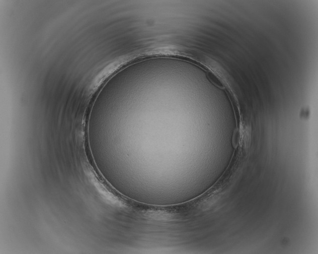 X0000115450389200911181552