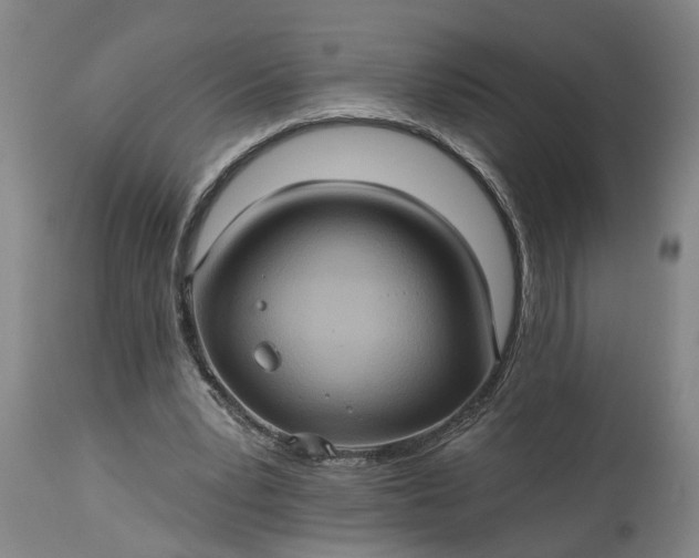 X0000115450391200911181552