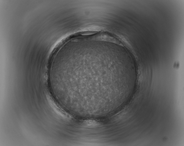 X0000115450392200911181552