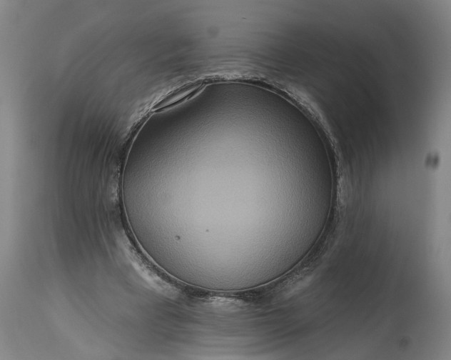 X0000115450393200911181552