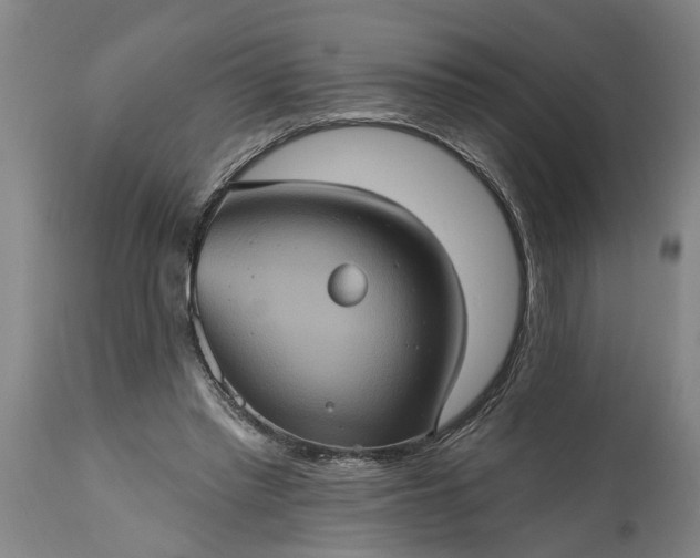 X0000115450397200911181552