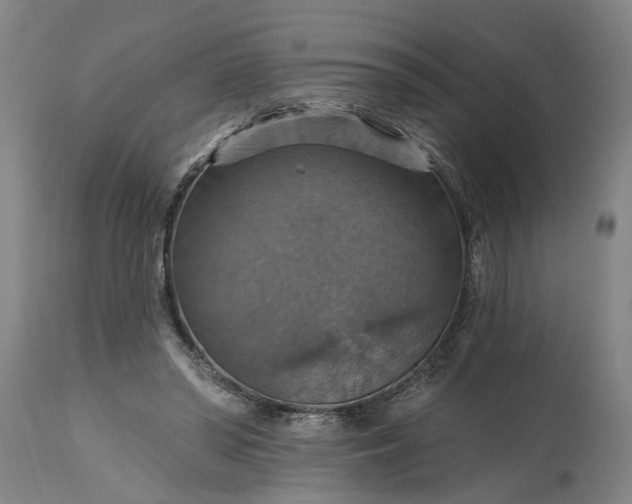 X0000115450398200911181552