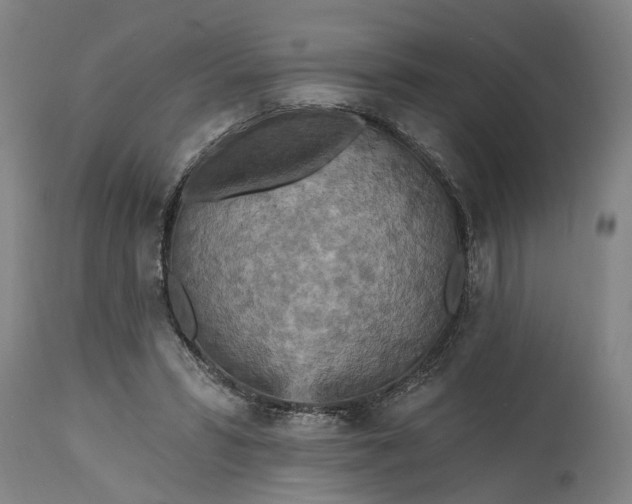 X0000115450399200911181552