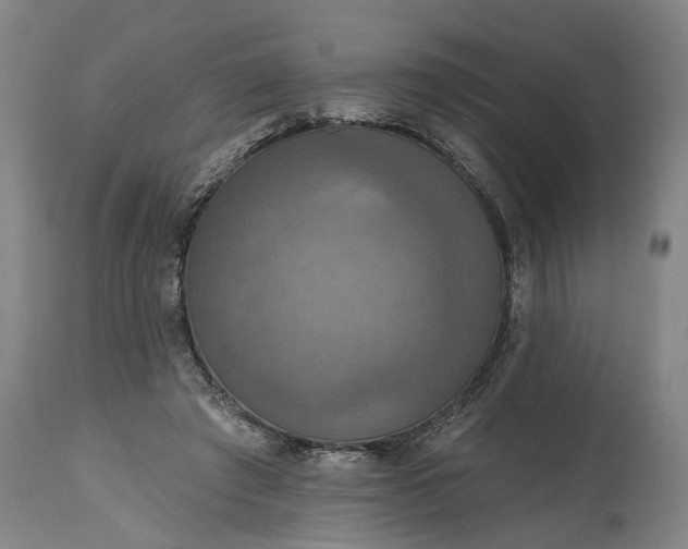 X0000115450401200911181552