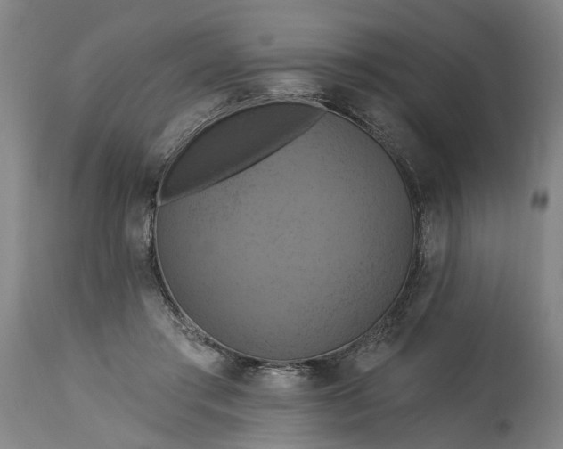 X0000115450405200911181552