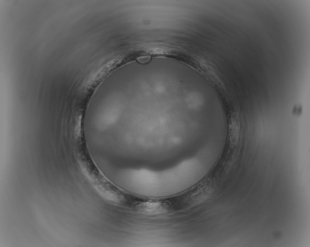 X0000115450406200911181552