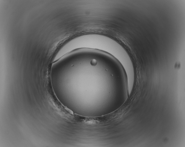 X0000115450407200911181552