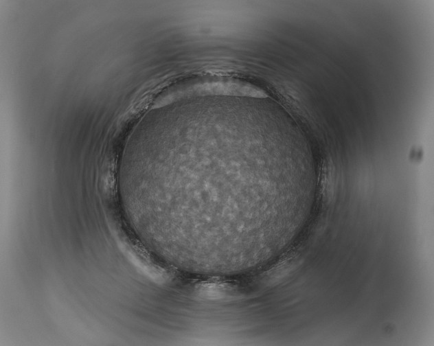 X0000115450408200911181552