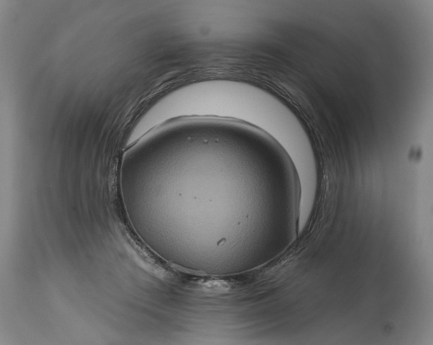 X0000115450409200911181551