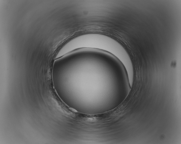 X0000115450411200911181551