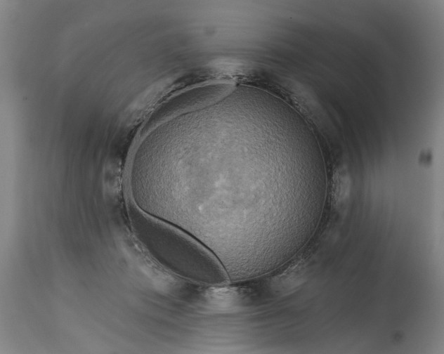 X0000115450413200911181551