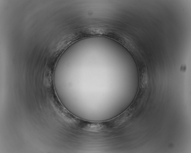 X0000115450414200911181551