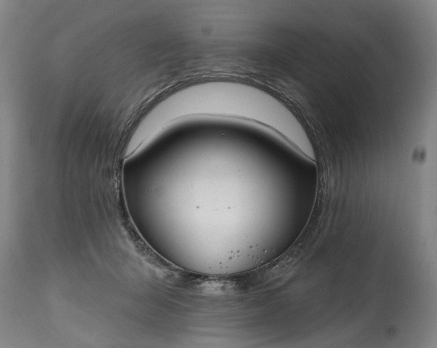 X0000115450415200911181551