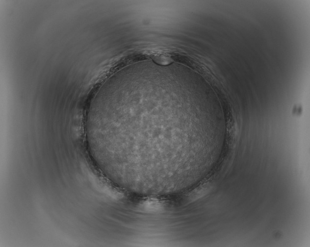 X0000115450416200911181551