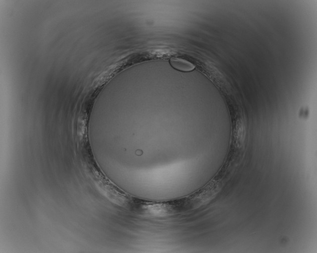 X0000115450417200911181551