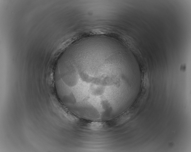 X0000115450418200911181551