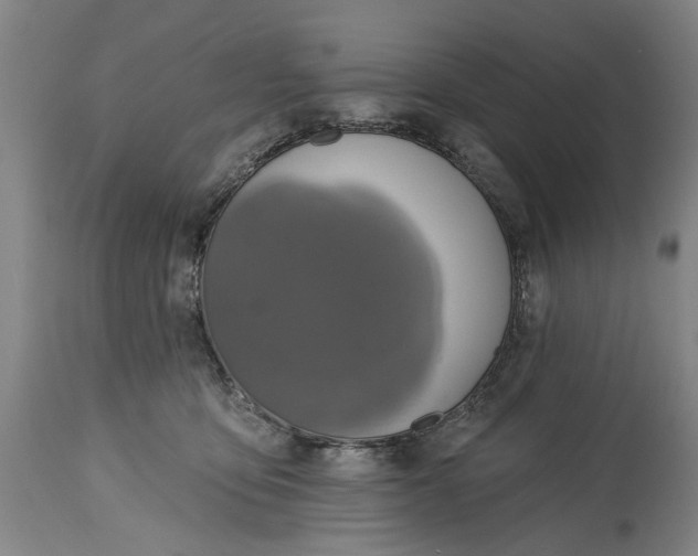 X0000115450419200911181551