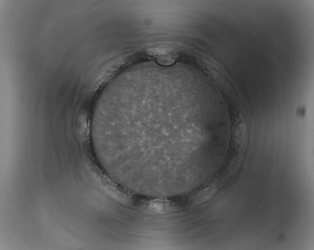 X0000115450420200911181551