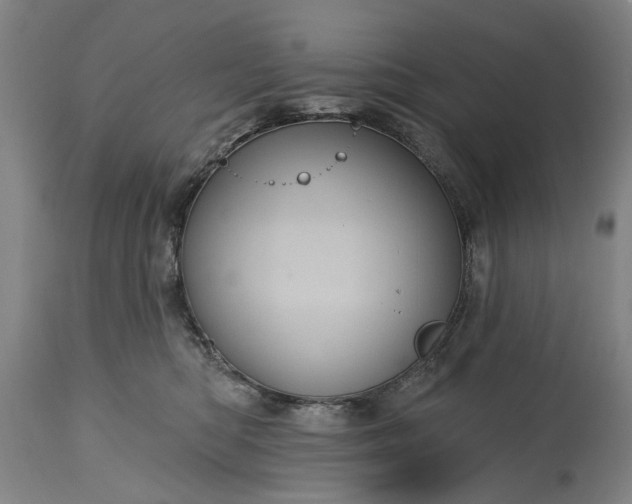 X0000115450422200911181551