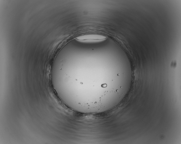 X0000115450423200911181551