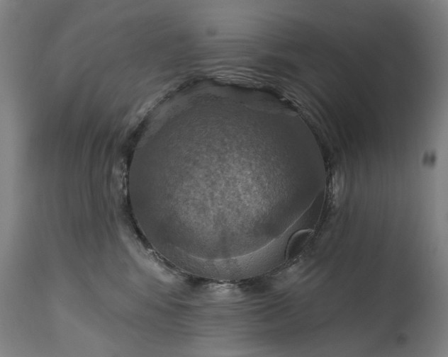 X0000115450424200911181551