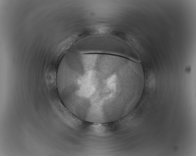 X0000115450425200911181551