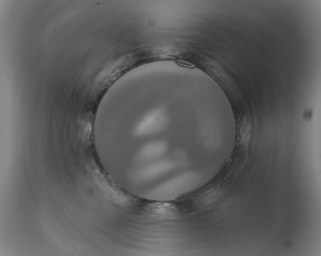 X0000115450427200911181551