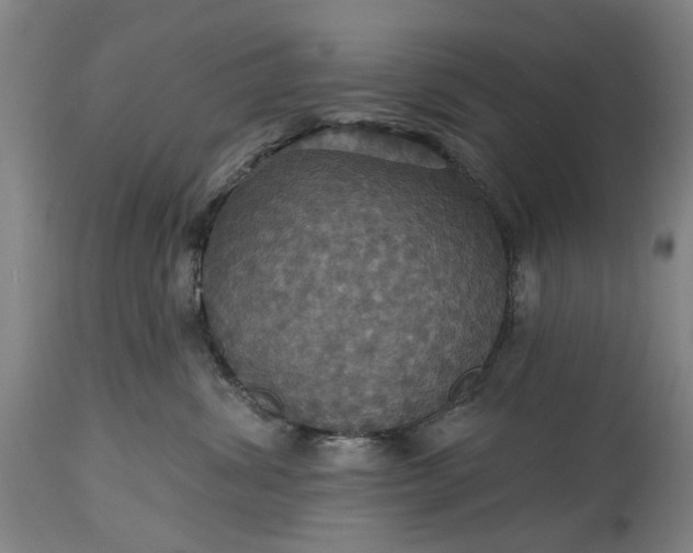 X0000115450428200911181551