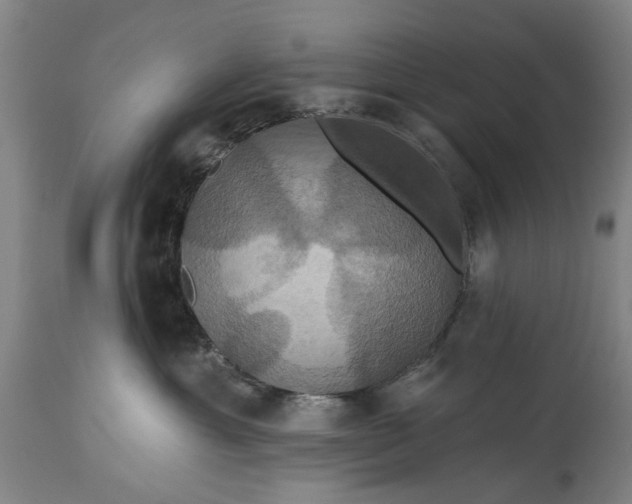 X0000115450429200911181551