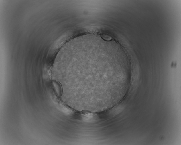 X0000115450432200911181551