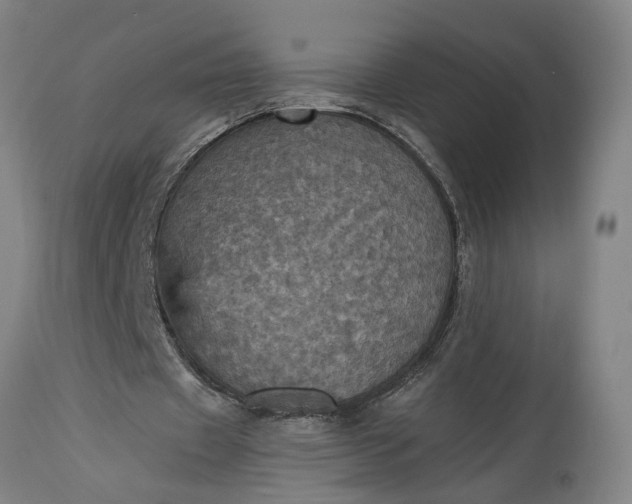 X0000115450433200911181551